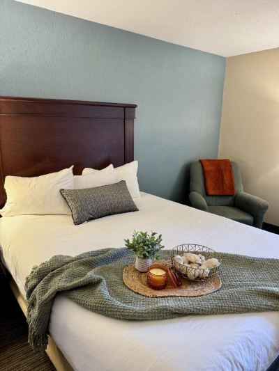 Other Drury Inn & Suites Detroit Troy Photo