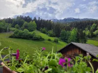 Apartment Waldnah Hotels in Fliess