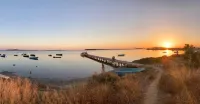 ดอนนาชิคชีนาตราปานี