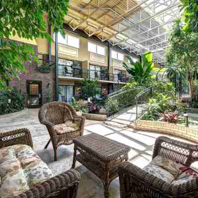 Hotel L'Oiseliere Montmagny Hotel Exterior