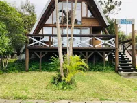 시 브리즈 온나