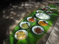 Saffron & Blue Hotels in Kosgoda