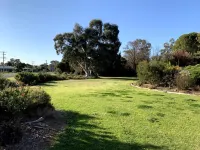 Kingswood Motel Hotels near Giant Murray Cod