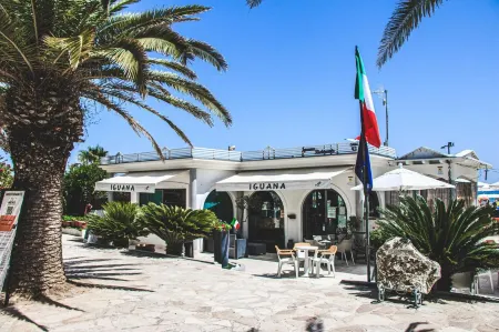 International Hotel & Suite Отели в г. San Benedetto del Tronto