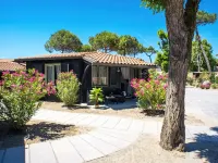 HOTIDAY Room Collection - Milano Marittima Hotels in Lido DI Savio