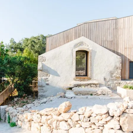 The Nest by Cooking and Nature