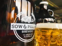 Sow and Piglets Guesthouse - Hostels