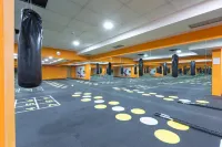 بوتنيك إن بلجراد
