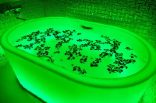 Hotel Eldia Luxury Kobe (Adult Only)