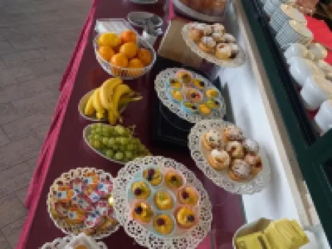 Adriana別墅酒店 蒂沃利酒店