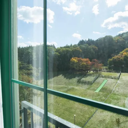 Blue Ridge Hotel