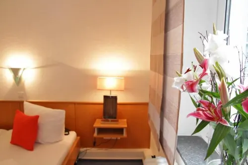 Hotel Schillerbad Hotels in Herscheid