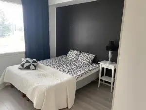 Style 1Br with Sauna,Tornio City