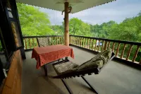 Chitwan Gaida Lodge - Animal Lovers & Birdwatchers Paradise