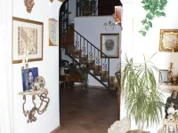 B&B Casa Armonia Hotels in Pizzo
