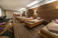 納德爾胡夫阿爾卑斯藝術及Spa酒店 - SPA