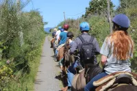 Refugio Parque Tepuhueico Zona Costa - Homestays