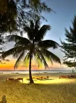 Bahati Sunset Bungalows Michamvi