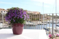 103 Boutique Hotel Stintino - Ocean View