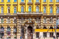 디럭스 플로에크