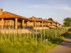 Schuchmann Wines Château,Villas & Spa