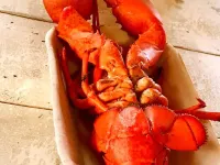Blue Crest Cottages Hotels in Queens County