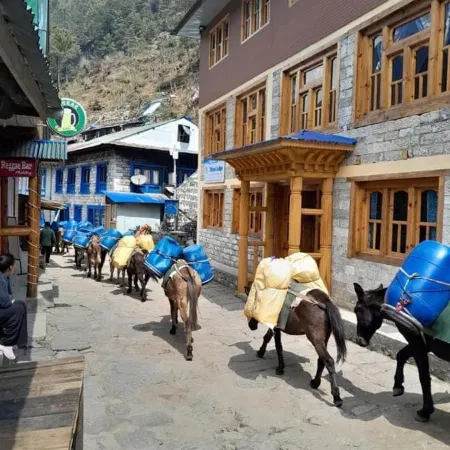 Tribeni Lodge Restaurant and Bar