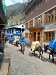 Tribeni Lodge Restaurant and Bar - 3-Star