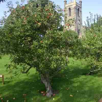 Blue Bell Hotel Hotel Exterior