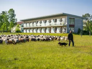 Hotelcamp Reinsehlen