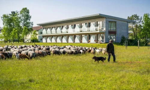 Hotelcamp Reinsehlen