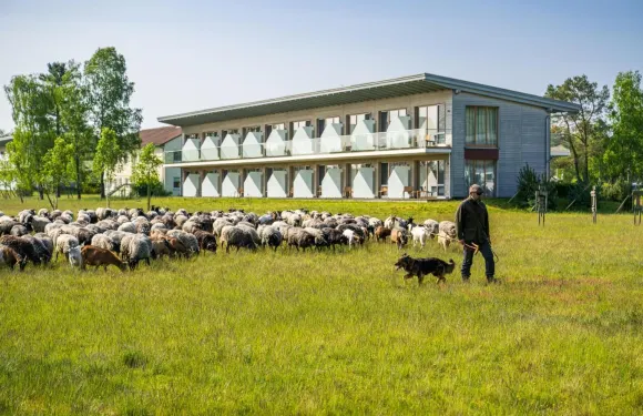 卡普瑞斯赫勒酒店