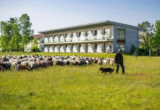 Hotelcamp Reinsehlen, Schneverdingen - 2026 Prices & Reviews | Trip.com
