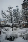 Bravia Hotel Manali Inn