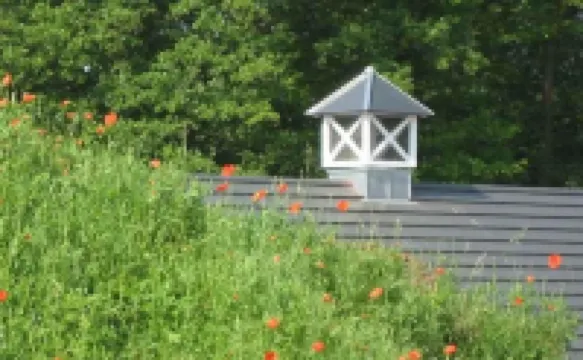 Louisenhof Ferienapartments Und Wellness