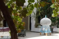 Hotel Djerba Erriadh  호텔