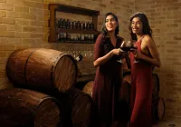The Tamara Kodai - bar