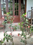 Avenra Cottage