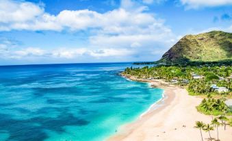 Hawaiian Princess Makaha