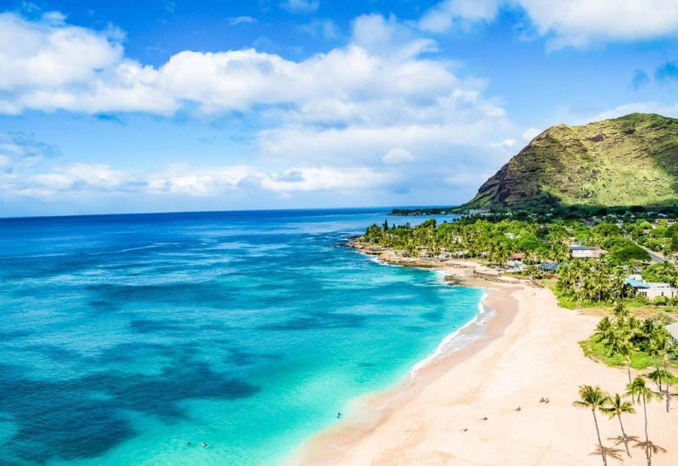 1. Hawaiian..