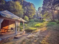 Nayalap - Rural Himalayan Glamping Hotels in Almora