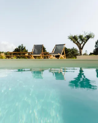 Birds of Paradise - Boutique Surf Lodge