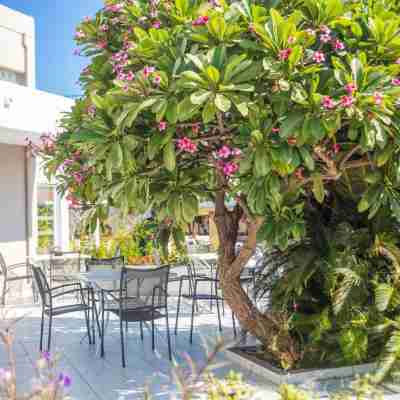Irinna Hotel-Apartments Hotel Exterior