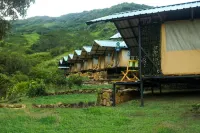Wild Glamping Knuckles - Thema Collection Hotels in Medadumbara