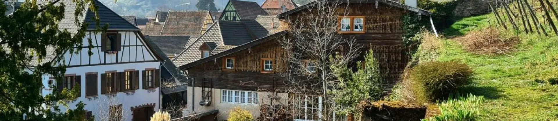 Migliori 20 Homestay di lusso vicino Kenzingen