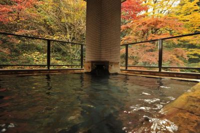 スパ・大浴場 時音の宿 湯主一條の写真