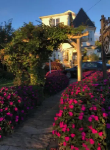 白寒木住宿加早餐酒店