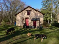Chambres d'hôtes La Faisanderie Hôtels à : Saint-Florent-sur-Cher