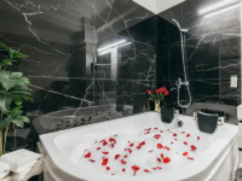 Hotel Agora Mures Hotels in Targu Mures