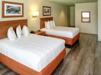 Peaks of Otter Lodge - Alojamientos